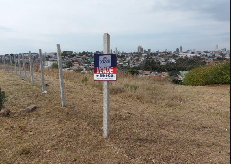 Terreno - Venda - dos Estados - Guarapuava - PR